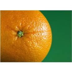 Orange Posters BrainBoosters Fruit On Green Background Print Steven Raniszewski Poster