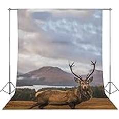 Photo Backgrounds SONGTING Scottish Bucks Fotografi Bakgrund Fotoduk Vägg Bakgrund Fotografering Rekvisita för Studio Party Dekor 142 cm x 200 cm