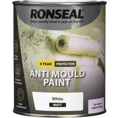 Ronseal Anti Mould White