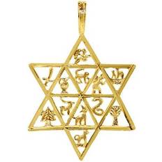 The Gem Collection Jewelry 14k Yellow Gold Tribes of Israel Star of David Pendant