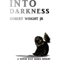 Into Darkness (Paperback)