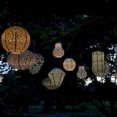 Hagedekor LUMIZ Occult Gold Bulb 16