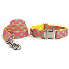 Iuou Collar Leash and Collar Set Collar French Bulldog