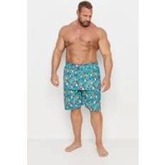 Kam Swimwear Kam Mens Big & Tall Green Parrot Print Swim Shorts Big & Tall