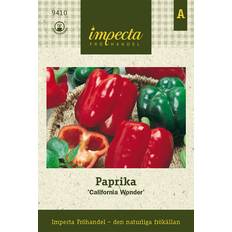 Februari Grönsaksfröer Impecta Paprika California Wonder