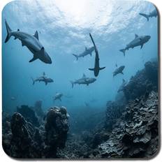 Kitchen Accessories East Urban Home Schooling Reef Sharks Coaster