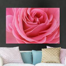 Rosa Bilder Klebefieber Impression sur toile Lustful Rose Bild