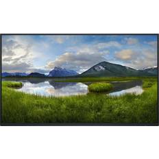 Dell P2425H uten