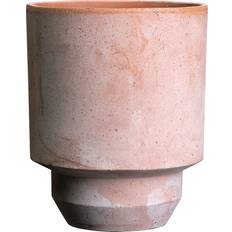 Bergs Potter Blumentopf The Hoff rose