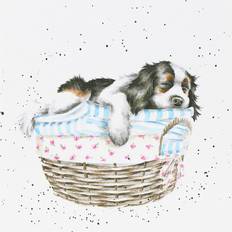 Wrendale Designs Wrendale ‘Wash, Dry, Fold, Repeat’ Dog Greetings Card