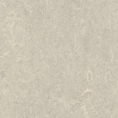 Golv Forbo Linoleumgolv Marmoleum Real 2.5mm 3136 Concrete 200cm