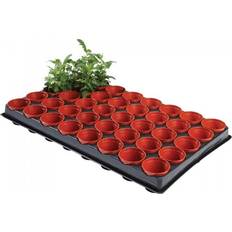 Ambassador Growing Tray