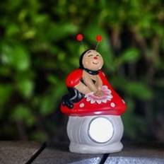 Cheap Ground Lighting Ladybird Solar Garden Light Ornament Decoration Ground Lighting