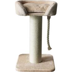 Companion Katter Husdjur Companion S Lion Katte kradse post, Companion
