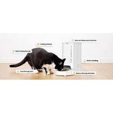 Fresh Element Solo Smart Feeder One Colour