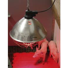 Kerbl Husdjur Kerbl Infrared Heater for Poultry and Small Animals