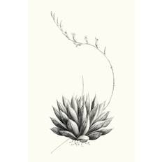 Marlow Home Co Graphic Succulents IV Vision Studio Framed Art