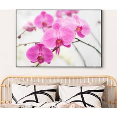 Quadratisch Bilder Klebefieber Nahaufnahme Orchidee Bild