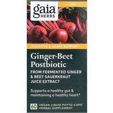 Ginger Beet Postbiotic 60 Capsules