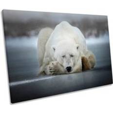CanvasGeeks Dreaming White Polar Bear Sleeping Picture Print Framed Art