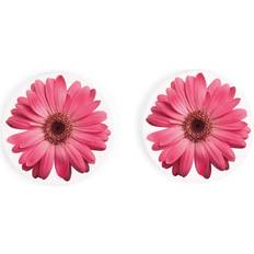 P. Graham Dunn Daisies 2.75 2.75 Absorbent Ceramic Car Pack of 2