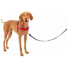 PetSafe Easy Walk Harness, No Pull Dog Harness