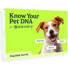 AncestryDNA Your Pet Dog Breed Test