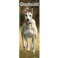 Avonside Greyhound Slim Calendar 2025 Calendar