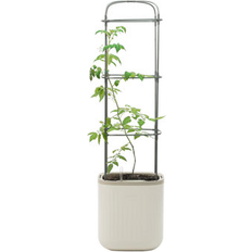 Pots, Plants & Cultivation Vego Garden Mini Tomato Metal Pot Planter