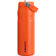 Stanley 24 oz. IceFlow Flip Straw 2.0 Bottle, Orange Water Bottle 24fl oz