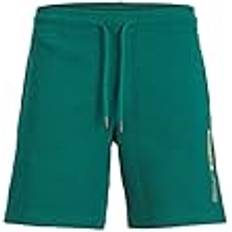 Chinoshorts - Grün Jack & Jones AND Herren Neo Jersey Shorts Grün