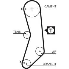 Clothing Gates Micro-V Stretch Fit Correa de Distribucion Punto 5544XS