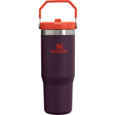 Stanley The IceFlow Flip Straw Travel Mug 30fl oz