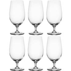 Leonardo Ølglas Leonardo Ciao+ Bar Ølglas 39cl 6stk