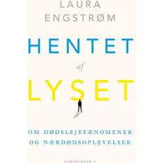 Hentet af lyset bog Hentet af lyset (E-bog, 2024)