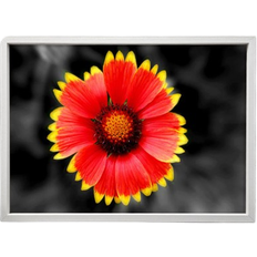 Ebern Designs Colors Of The Sun White Bild 118.9x84.1cm