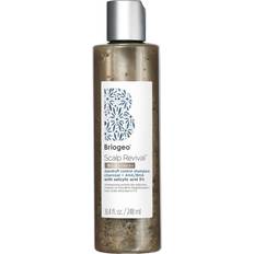 MegaStrength + Dandruff Relief Shampoo