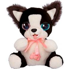 Mini Border Collie