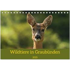 Grau Kalender Calvendo Wildtiere in Graubünden Tischkalender 2025 A5