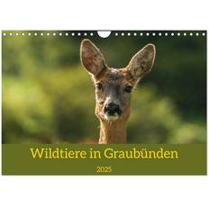 Grau Kalender Calvendo Wildtiere in Graubünden Wandkalender 2025