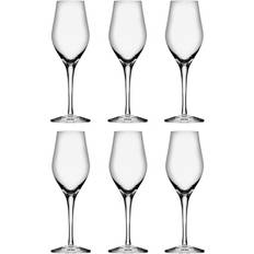 Orrefors Sense Champagne Glass 25.5cl 6pcs