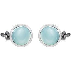 Rabinovich Delight Stud Earrings - Silver/Chalcedony/Transparent