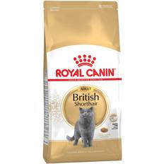 Royal Canin Mascotas Royal Canin British Shorthair Adult