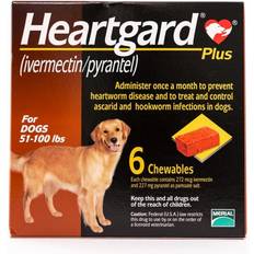 Heartgard Merial Heartgard Plus Chewables For Dogs 51-100lbs 6pcs