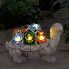 Built-In Switch Ground Lighting Nacome Tortoise Statue with Succulent Grey/Multicolour Ground Lighting 4.9"