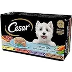 Cesar Husdjur Cesar Senior 10+, Äldre hundmat, sorterat