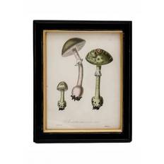 Gothic Homeware Gothic Homeware Fungi Print Framed Art