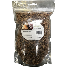 Dried Mealworms