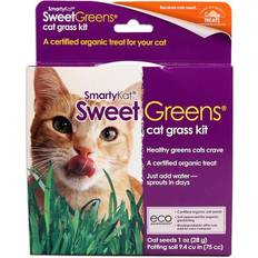 SmartyKat Sweet Greens Organic Oat Cat Grass Grow Kit