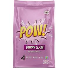 Dog Puppy S/M 2